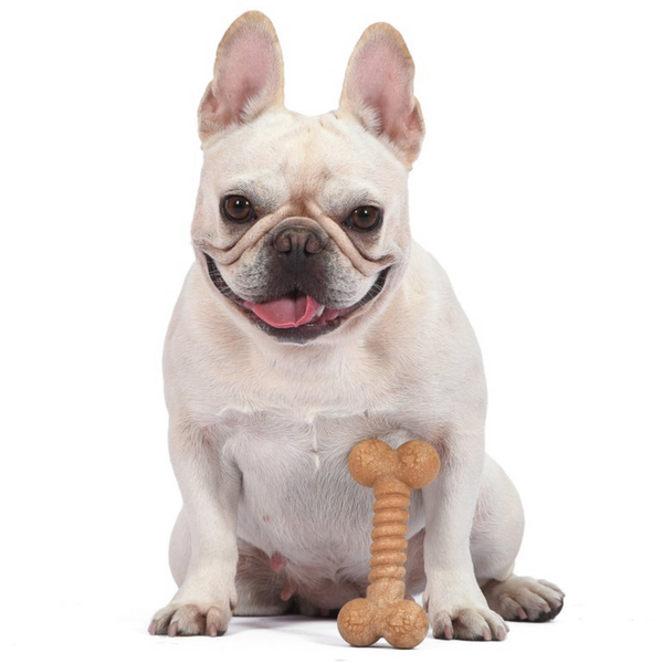Жувальна іграшка Barkies Classic Bone для помірного стиля гризіння зі смаком арахіса від Arm & Hammer 7767 фото