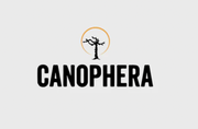 Canophera