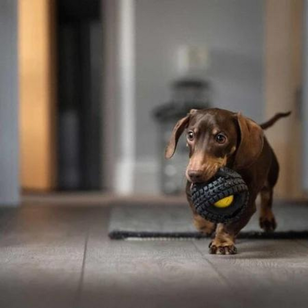 Гумовий м'яч Pet Qwerks Animal Sounds X-Tire Ball - S 7674 фото