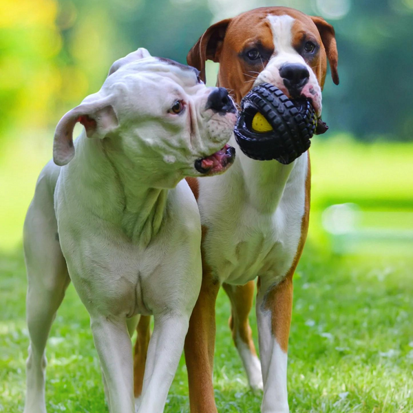 Гумовий м'яч Pet Qwerks Animal Sounds X-Tire Ball - S 7674 фото