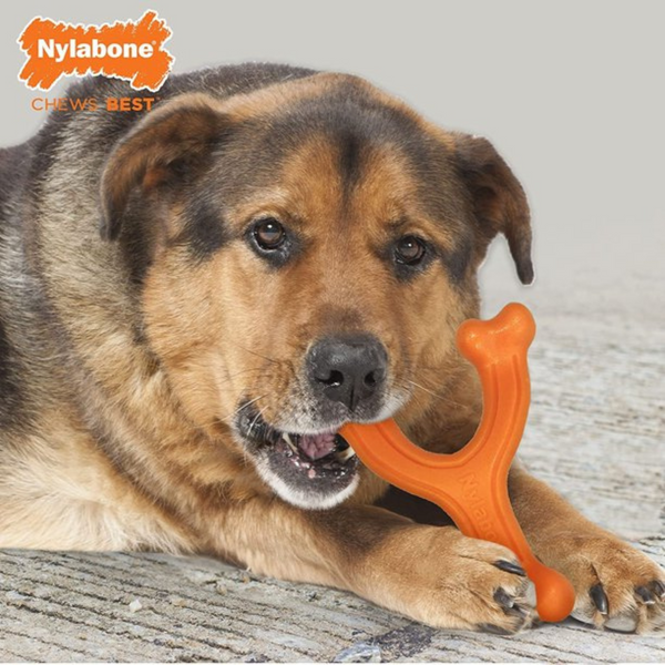 Жувальна кістка Nylabone Power Chew зі смаком бізона - L 7624 фото