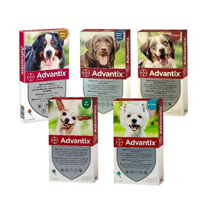 Краплі на холку для собак Адвантікс від Bayer 40-60 кг, 1 піпетка 7581 фото