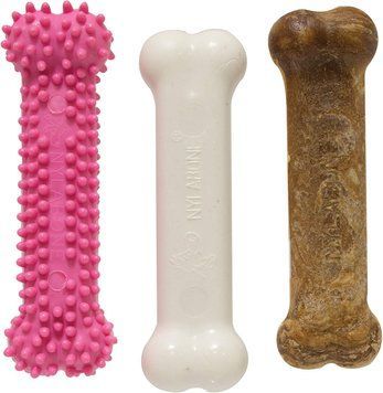 Набір жувальних Nylabone Puppy Chew