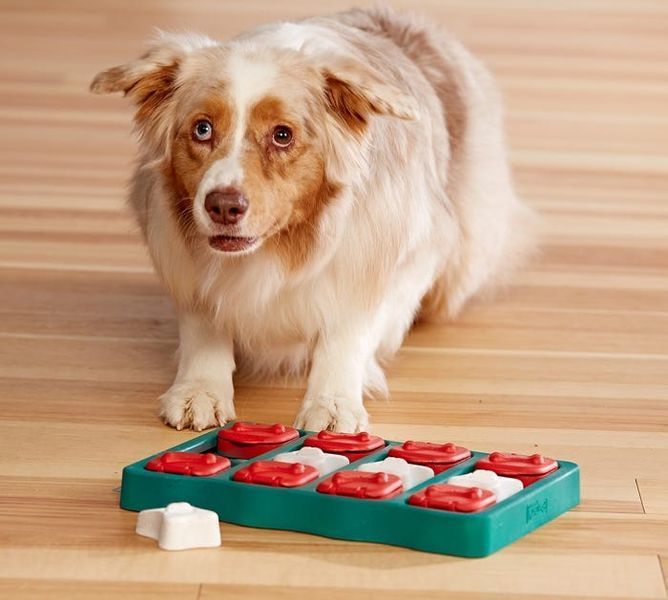 Головоломка Nina Ottosson by Outward Hound Brick Puzzle 3934 фото