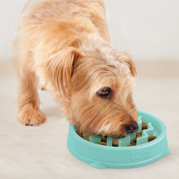 Миска-лабіринт Fun Feeder Slo-Bowl від Outward Hound - XS, Рожевий 7461 фото