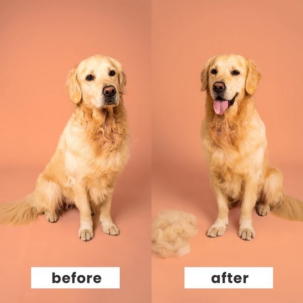Щітка для вичісування собаки Pet Teezer De-shedding&Grooming - чорний/фіолетовий 7036 фото