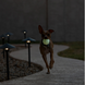 Фосфорний м'яч Jolly Pets Glow 3841 фото 2