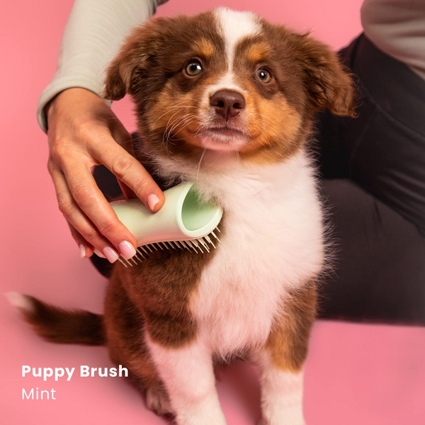 Щітка для вичісування цуценят Pet Teezer Puppy Brush 7043 фото