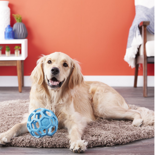 М'яч сіткою Hol-ee Roller Ball від JW Pet - XS 5073 фото