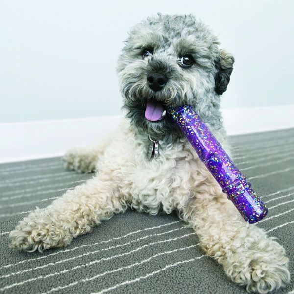 Хрусткий стік Kong Squeezz Crackle Stick (фіолетовий) - M 3869 фото