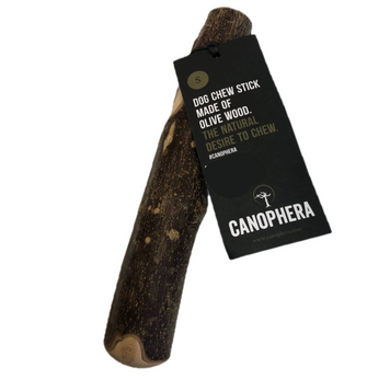 Палиця з оливкового дерева Canophera - XS 7750 фото