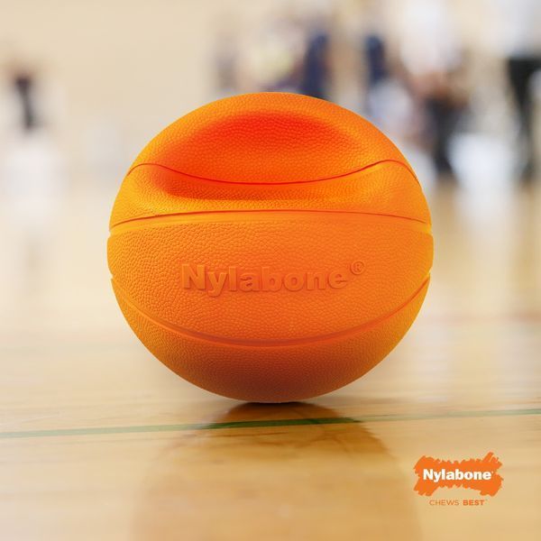 Баскетбольний м'яч Nylabone B-Ball Gripz - M 4252 фото