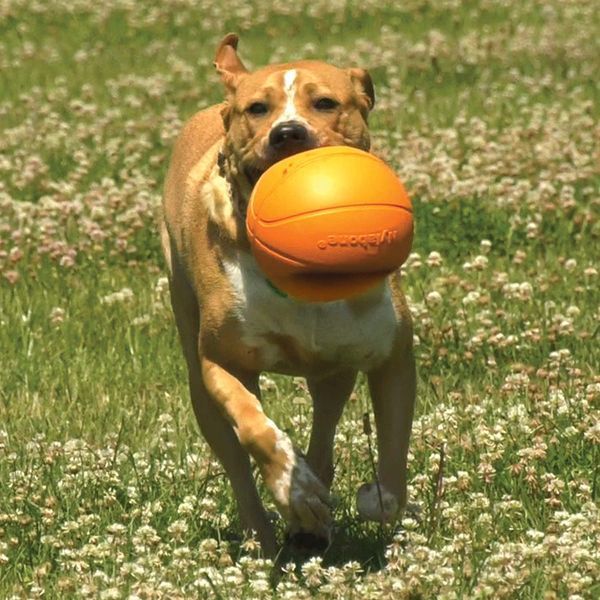 Баскетбольний м'яч Nylabone B-Ball Gripz - M 4252 фото