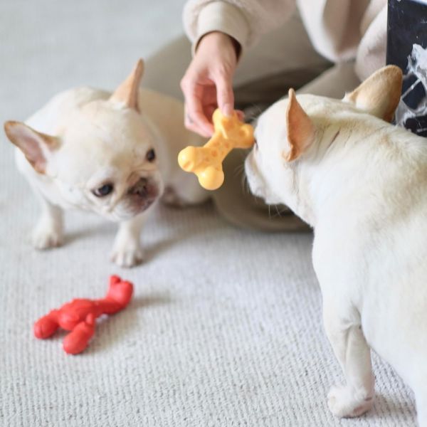 Жувальна іграшка лобстер Nylabone Power Chew