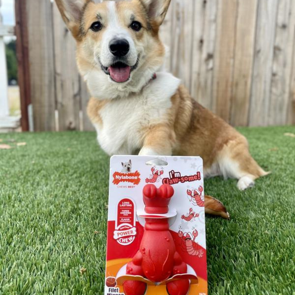Жувальна іграшка лобстер Nylabone Power Chew