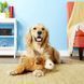 Вівця Kong Cozie Plush 3444 фото 3