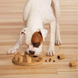 Головоломка Nina Ottosson by Outward Hound Smart Composite Puzzle 5026 фото 3