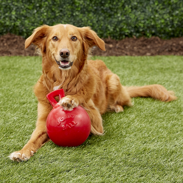 Гиря Jolly Pets - M 3595 фото