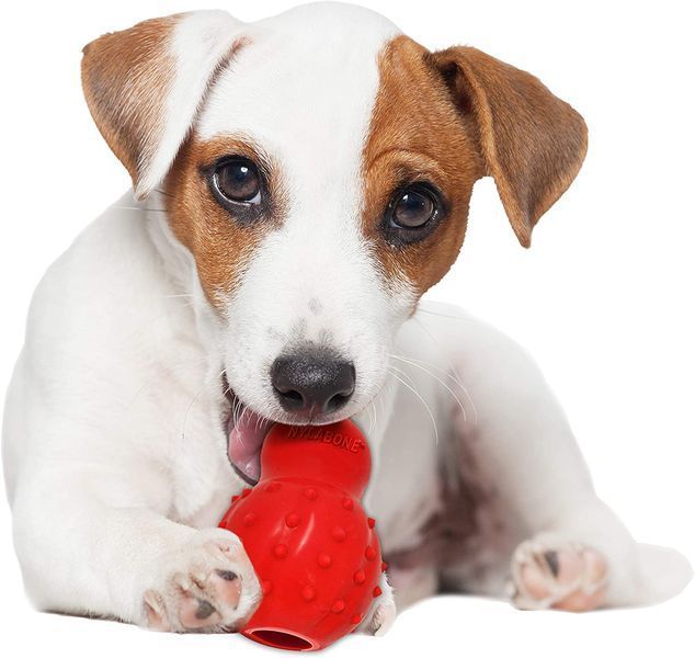Головоломка Nylabone Stuffable - S 3434 фото