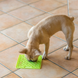 Килимок на вилизування LickiMat Buddy - Блакитний 7613 фото 9